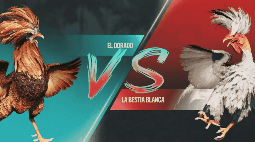 uuq Jogos Esportivos login